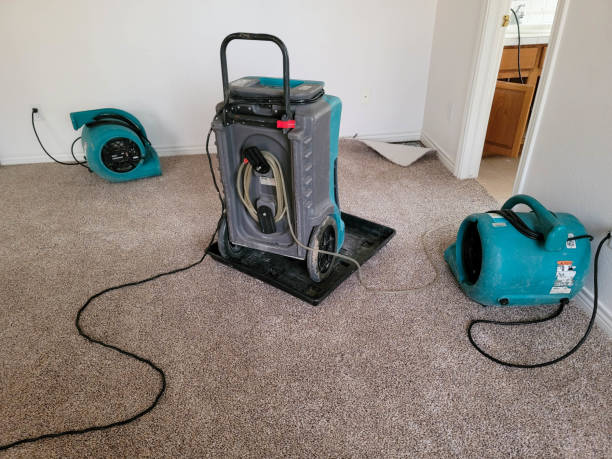 Best Commercial water damage restoration  in Skagway, AK