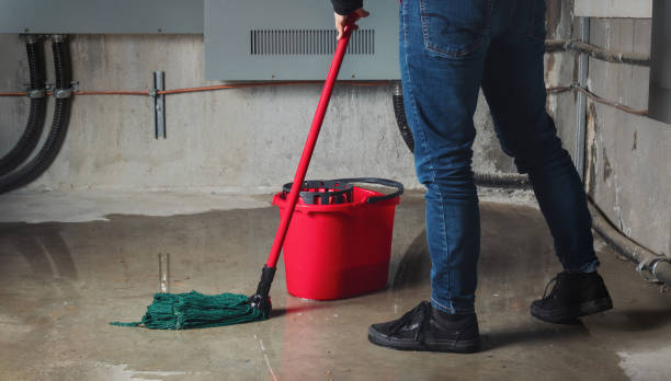 Best Professional water damage repair  in Skagway, AK