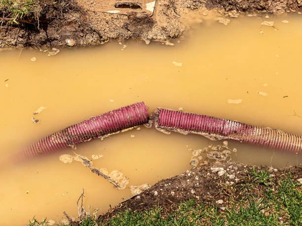 Best 24-hour water damage restoration  in Skagway, AK
