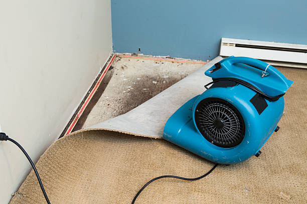 Best Carpet water damage restoration  in Skagway, AK